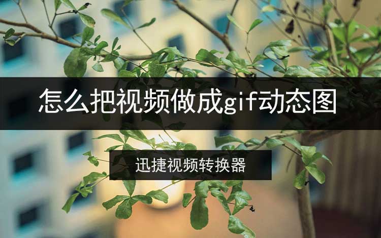 怎么把视频做成gif动态图