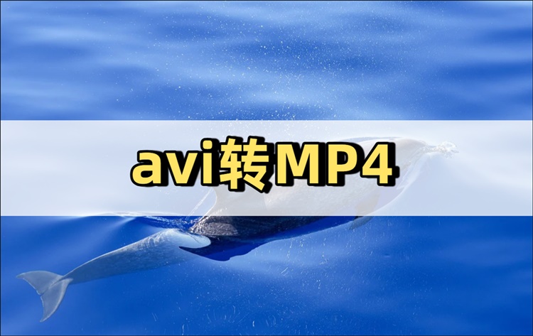 avi转MP4